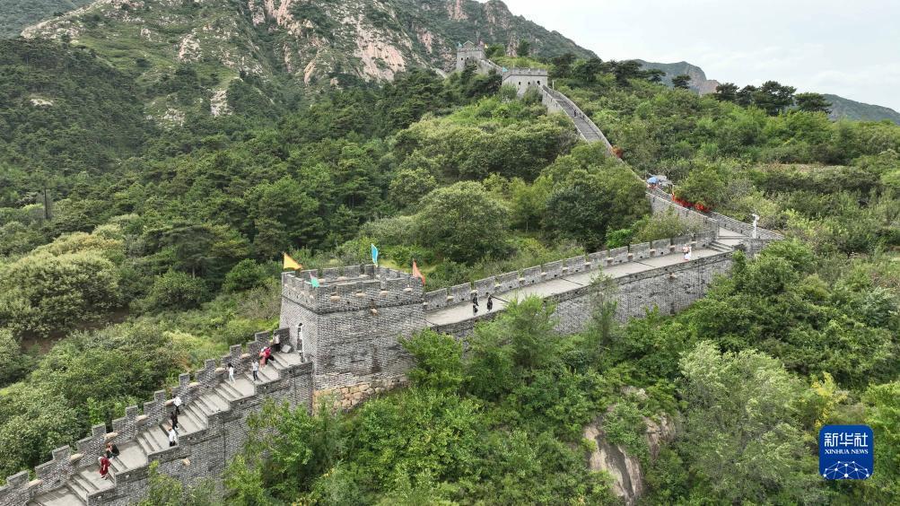 十博官网中文登陆